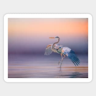 Sunset Heron Sticker